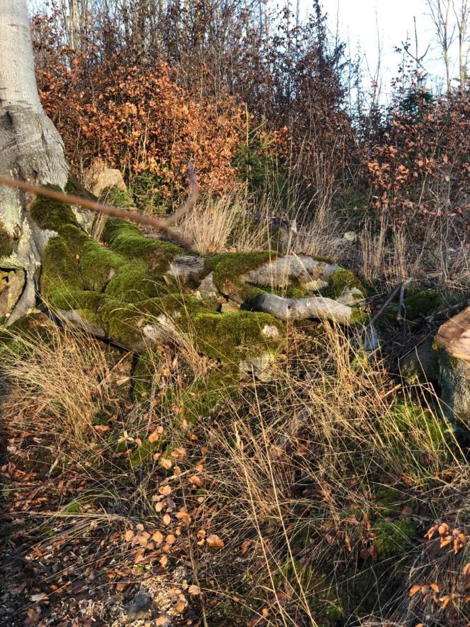 Am Mathildenbrunnen Klein Lejlighed Quedlinburg Eksteriør billede