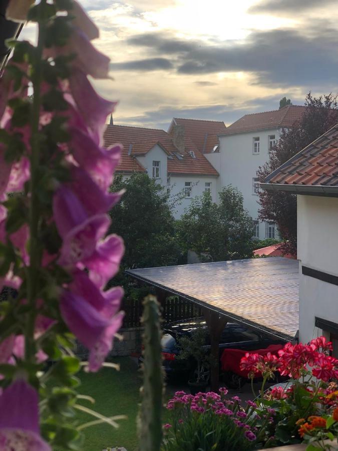 Am Mathildenbrunnen Klein Lejlighed Quedlinburg Eksteriør billede